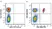 Anti Human CD4 Antibody, clone RPA-T4 thumbnail image 121