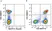 Anti Human CD4 Antibody, clone RPA-T4 thumbnail image 122