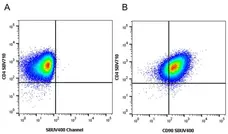 Anti Human CD4 Antibody, clone RPA-T4 gallery image 126