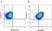 Anti Human CD4 Antibody, clone RPA-T4 thumbnail image 126
