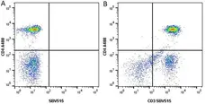 Anti Human CD4 Antibody, clone RPA-T4 gallery image 13