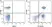 Anti Human CD4 Antibody, clone RPA-T4 thumbnail image 13
