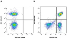 Anti Human CD4 Antibody, clone RPA-T4 gallery image 136
