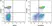 Anti Human CD4 Antibody, clone RPA-T4 thumbnail image 14