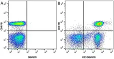 Anti Human CD4 Antibody, clone RPA-T4 gallery image 16