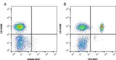 Anti Human CD4 Antibody, clone RPA-T4 gallery image 2