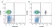Anti Human CD4 Antibody, clone RPA-T4 thumbnail image 2