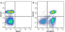Anti Human CD4 Antibody, clone RPA-T4 gallery image 24