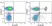 Anti Human CD4 Antibody, clone RPA-T4 thumbnail image 29