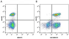 Anti Human CD4 Antibody, clone RPA-T4 gallery image 31