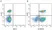 Anti Human CD4 Antibody, clone RPA-T4 thumbnail image 31