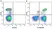 Anti Human CD4 Antibody, clone RPA-T4 thumbnail image 35