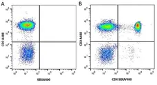 Anti Human CD4 Antibody, clone RPA-T4 gallery image 37