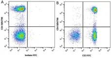 Anti Human CD4 Antibody, clone RPA-T4 gallery image 39