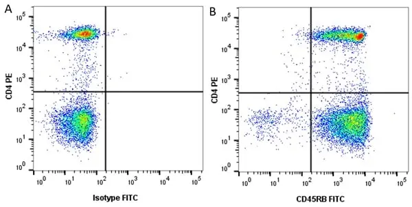 Anti Human CD4 Antibody, clone RPA-T4 gallery image 42