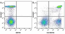 Anti Human CD4 Antibody, clone RPA-T4 gallery image 43