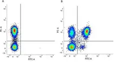 Anti Human CD4 Antibody, clone RPA-T4 gallery image 5