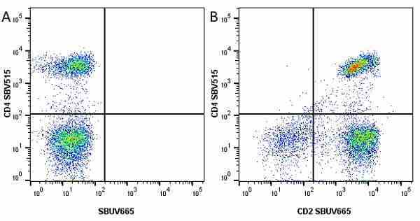 Anti Human CD4 Antibody, clone RPA-T4 gallery image 50
