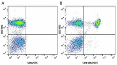 Anti Human CD4 Antibody, clone RPA-T4 gallery image 54