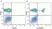 Anti Human CD4 Antibody, clone RPA-T4 thumbnail image 54