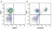 Anti Human CD4 Antibody, clone RPA-T4 thumbnail image 56
