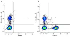 Anti Human CD4 Antibody, clone RPA-T4 gallery image 6