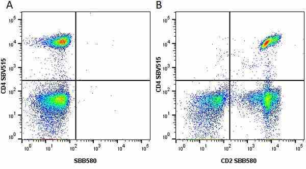 Anti Human CD4 Antibody, clone RPA-T4 gallery image 63