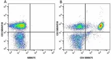 Anti Human CD4 Antibody, clone RPA-T4 gallery image 64