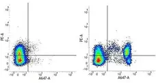 Anti Human CD4 Antibody, clone RPA-T4 gallery image 7