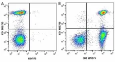 Anti Human CD4 Antibody, clone RPA-T4 gallery image 75