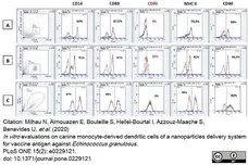 Anti Human CD40 Antibody, clone LOB7/6 gallery image 14
