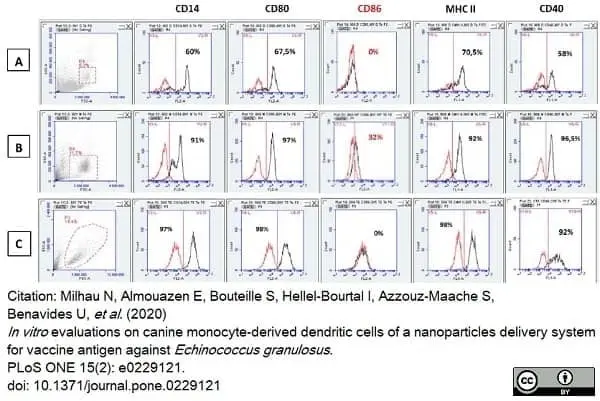 Anti Human CD40 Antibody, clone LOB7/6 gallery image 14