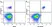 Anti Human CD40 Antibody, clone LOB7/6 thumbnail image 16
