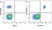 Anti Human CD40 Antibody, clone LOB7/6 thumbnail image 19