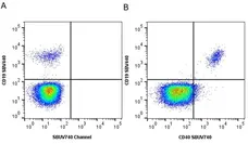 Anti Human CD40 Antibody, clone LOB7/6 gallery image 21