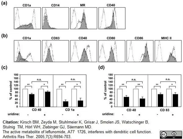 Anti Human CD40 Antibody, clone LOB7/6 gallery image 9