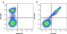 Anti Human CD41 Antibody, clone PM6/248 gallery image 1