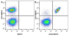 Anti Human CD42b Antibody, clone AK2 gallery image 3