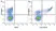 Anti Human CD42b Antibody, clone AK2 thumbnail image 5