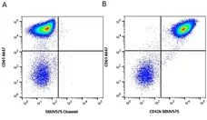 Anti Human CD42b Antibody, clone AK2 gallery image 7