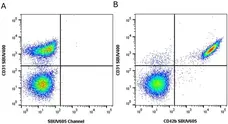 Anti Human CD42b Antibody, clone AK2 gallery image 8