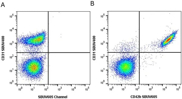 Anti Human CD42b Antibody, clone AK2 gallery image 8