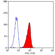 Anti Human CD43 Antibody, clone DFT-1 gallery image 1