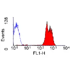 Anti Human CD43 Antibody, clone DFT-1 gallery image 2