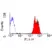 Anti Human CD43 Antibody, clone DFT-1 thumbnail image 2