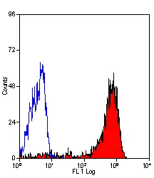 Anti Human CD43 Antibody, clone DFT-1 gallery image 3