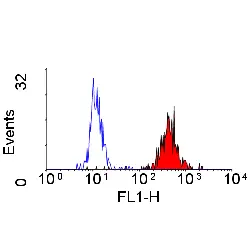 Anti Human CD43 Antibody, clone DFT-1 gallery image 5
