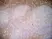 Anti Human CD43 Antibody, clone DFT-1 thumbnail image 7
