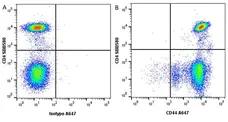 Anti Human CD44 Antibody, clone 156-3C11 (Monoclonal Antibody Antibody) gallery image 10