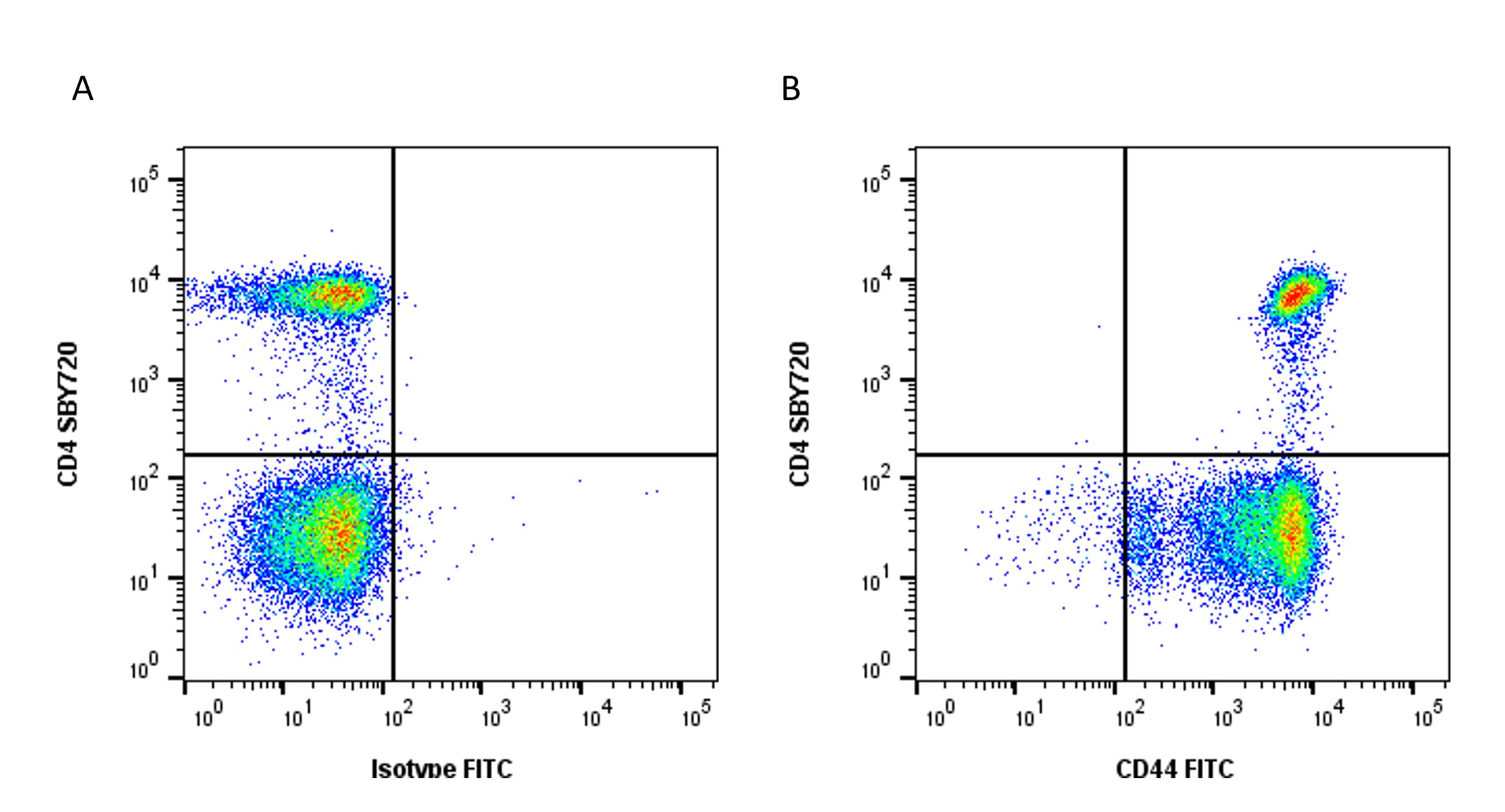 Anti Human CD44 Antibody, clone 156-3C11 (Monoclonal Antibody Antibody) gallery image 10